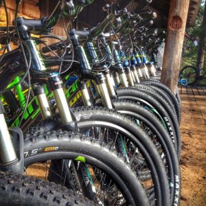 Bike Hire Fleet from the Hairy Marron Bike Cafe of Margaret River