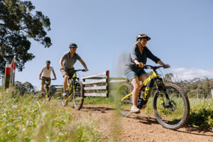 Three people riding on mountain bikes in the Margaret River region.